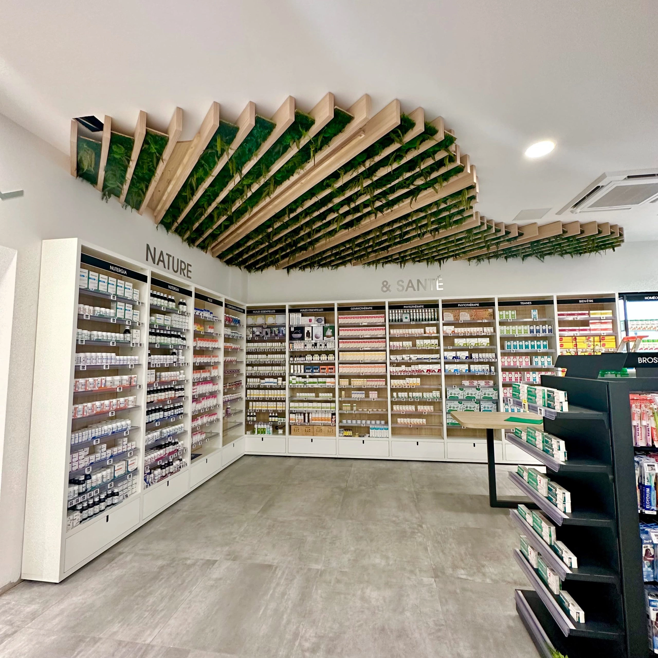 Plafonds amazonia Pharmacie de Chauray