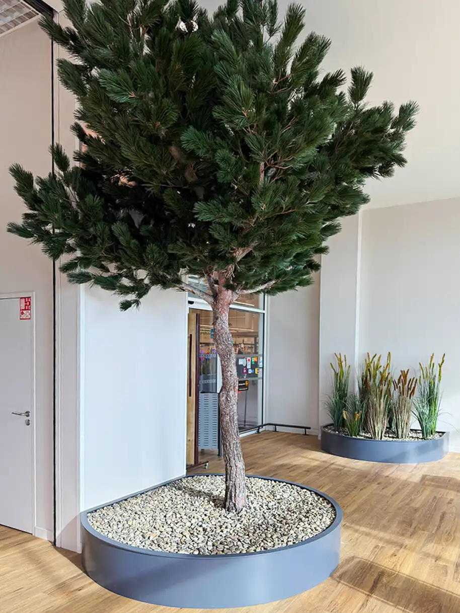 arbre-stabilise-interieur-lere-vegetale arbre stabilisé d'intérieur