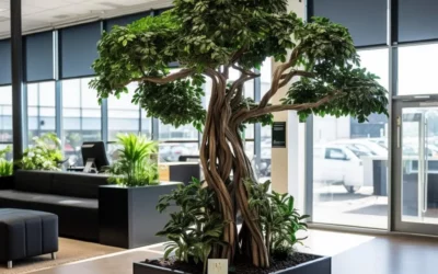 Bonsaïs stabilisés : la touche zen au travail
