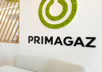 logo végétal stabilisé Primagaz en lichen