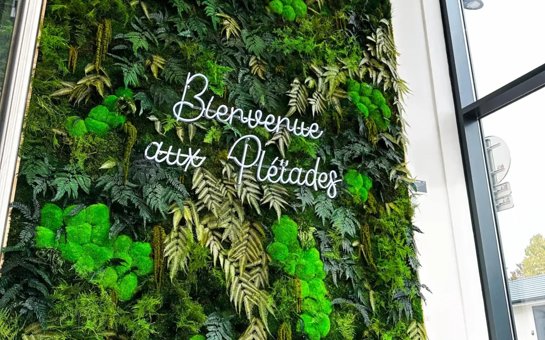 Amazonia Chic : une oasis végétale aux Pléiades !
