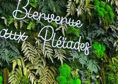 mur vegetal lumineux les pleiades