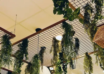 plafond vegetal des pleiades