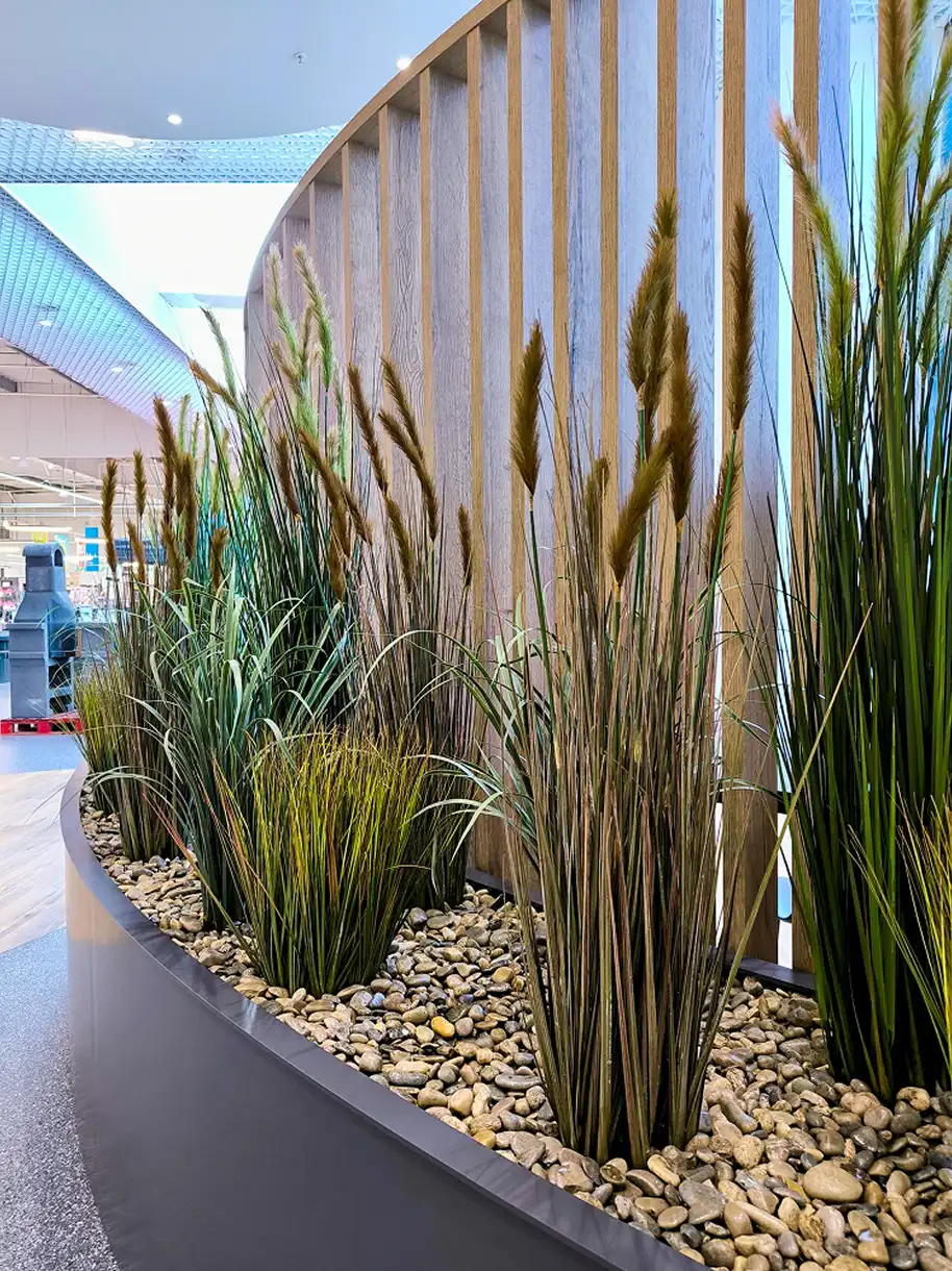 plantes-d-interieur-stabilisees plantes d'intérieurs