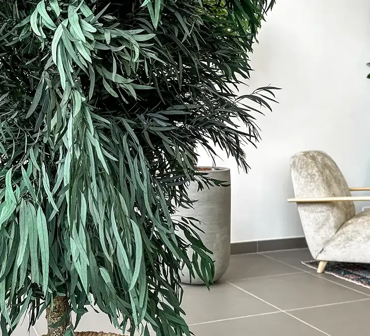 L’eucalyptus stabilisé : une tendance naturelle pour le bien-être au travail
