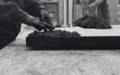 Le savoir-faire de L’ère Végétale dans la fabrication de murs et tableaux végétaux stabilisés