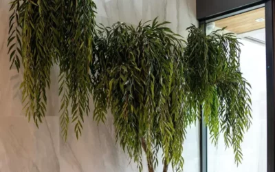 Les arbres stabilisés dans vos projets intérieurs
