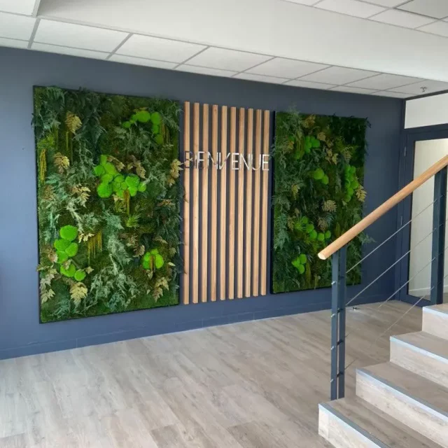 Murs végétaux pour espaces professionnels : transformer l&rsquo;expérience client et collaborateur