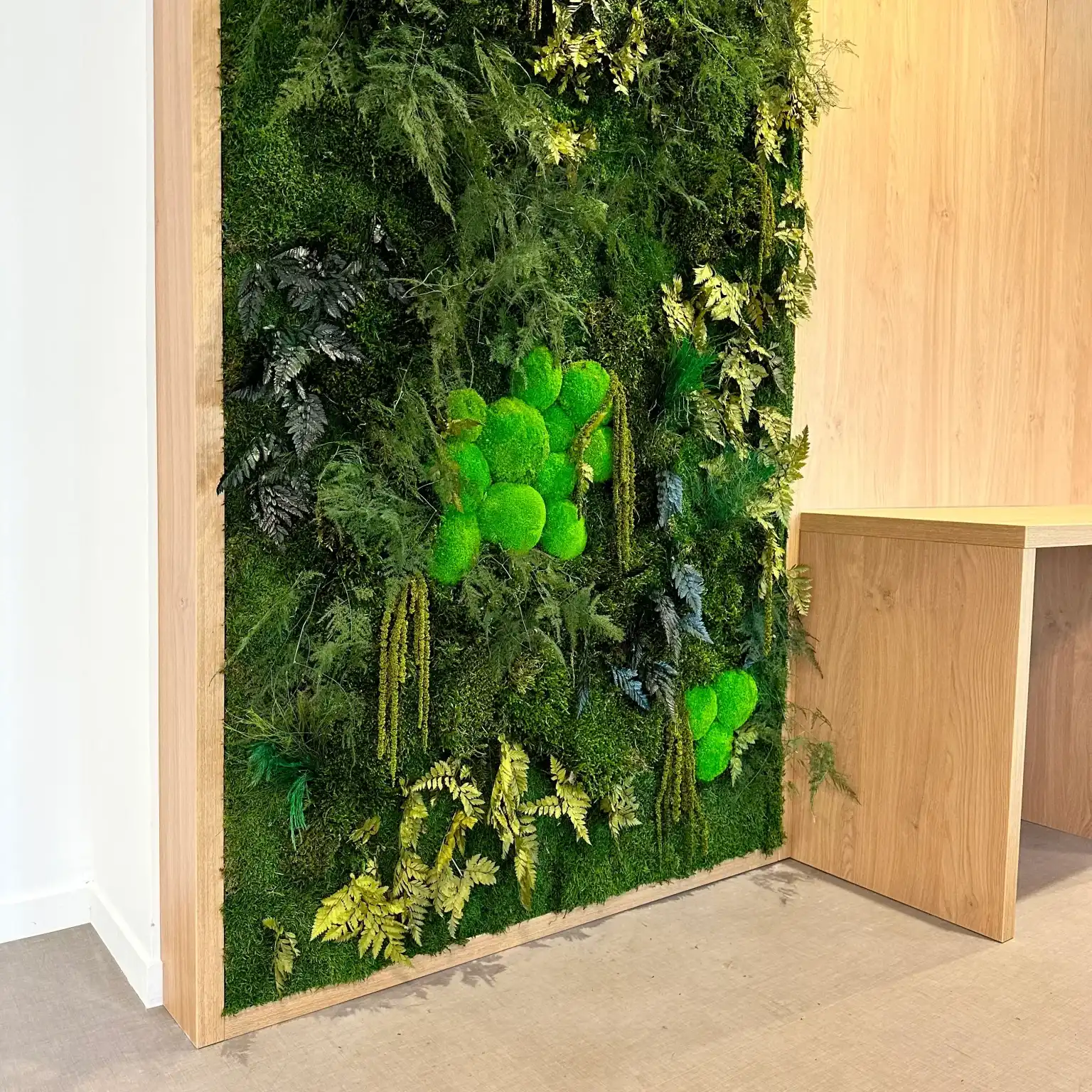 Mur végétal stabilisé Amazonia avec fougères et mousse boule