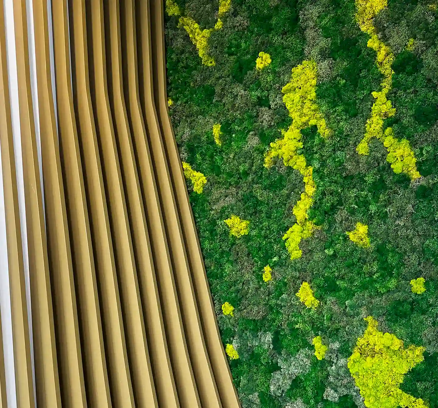 mur-vegetal-ambiance-nordique en lichen