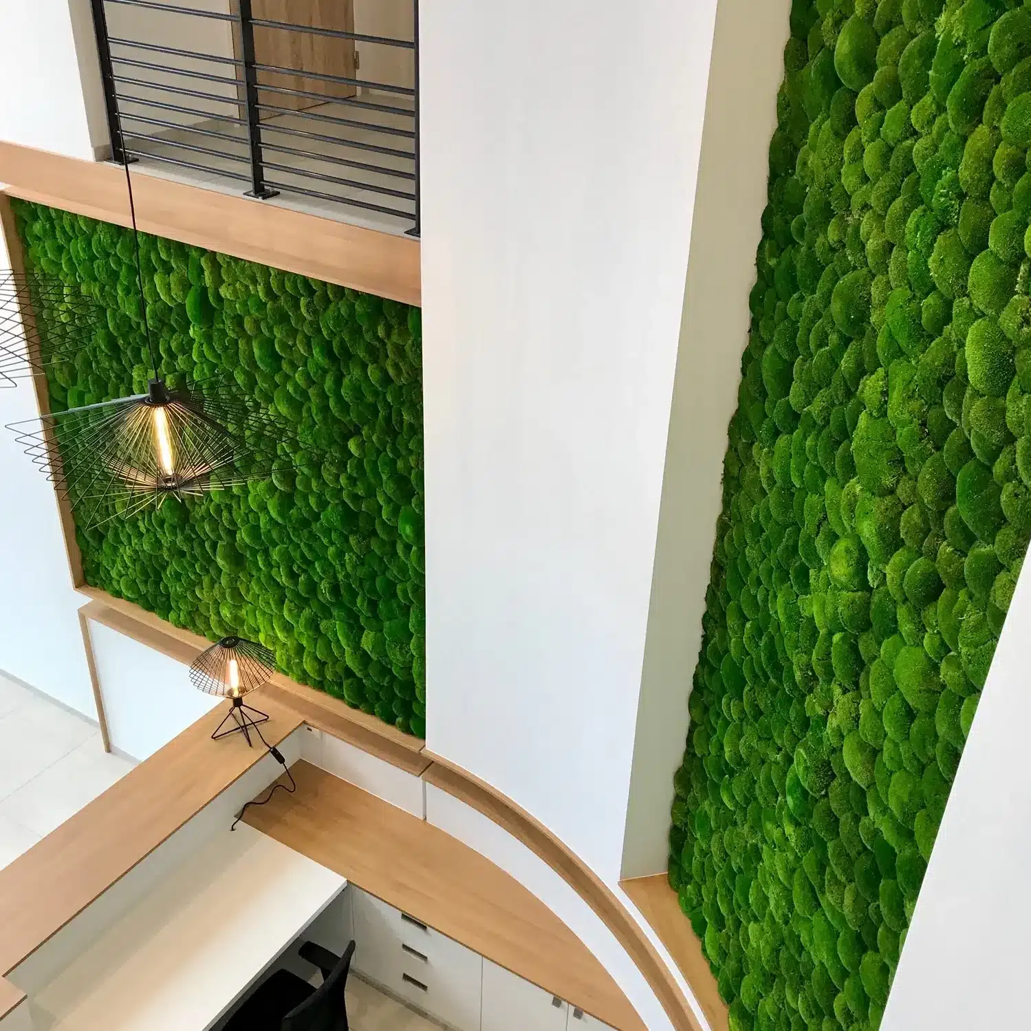 Mur végétal en mousse boule stabilisée dans un hall d’entreprise