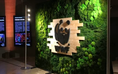 Un photocall original, vert et écolo en végétaux stabilisés