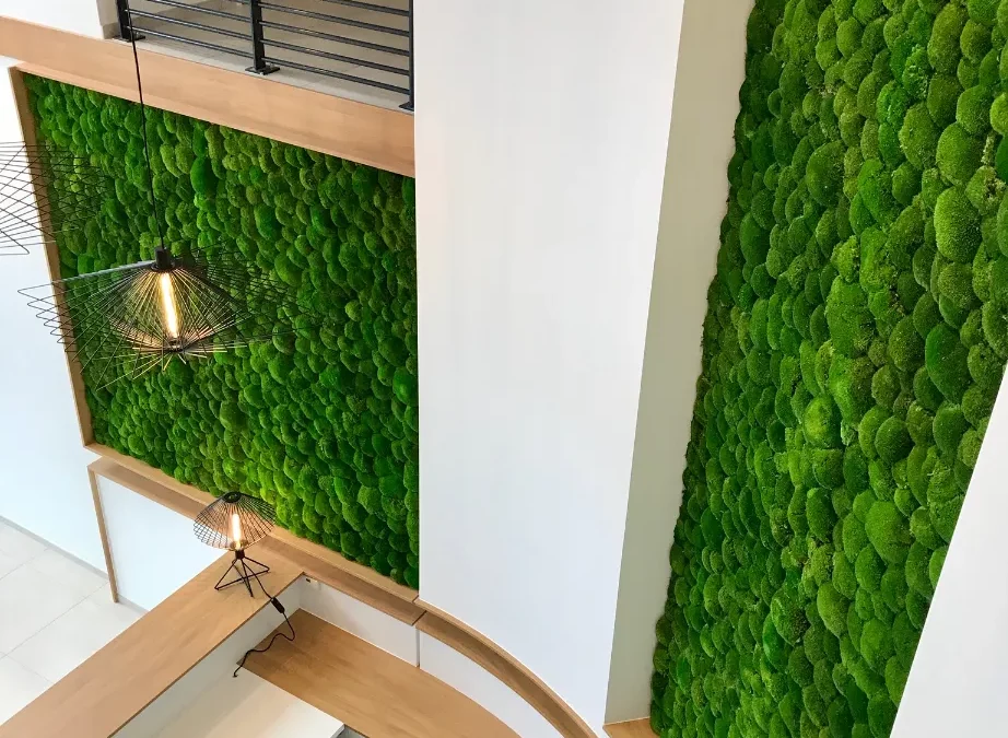 Mur végétal stabilisé : où l&rsquo;installer pour sublimer vos espaces intérieurs ?