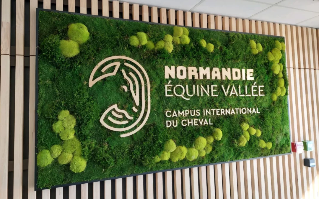 Tableau végétal ou mur végétal : lequel choisir pour votre espace ?
