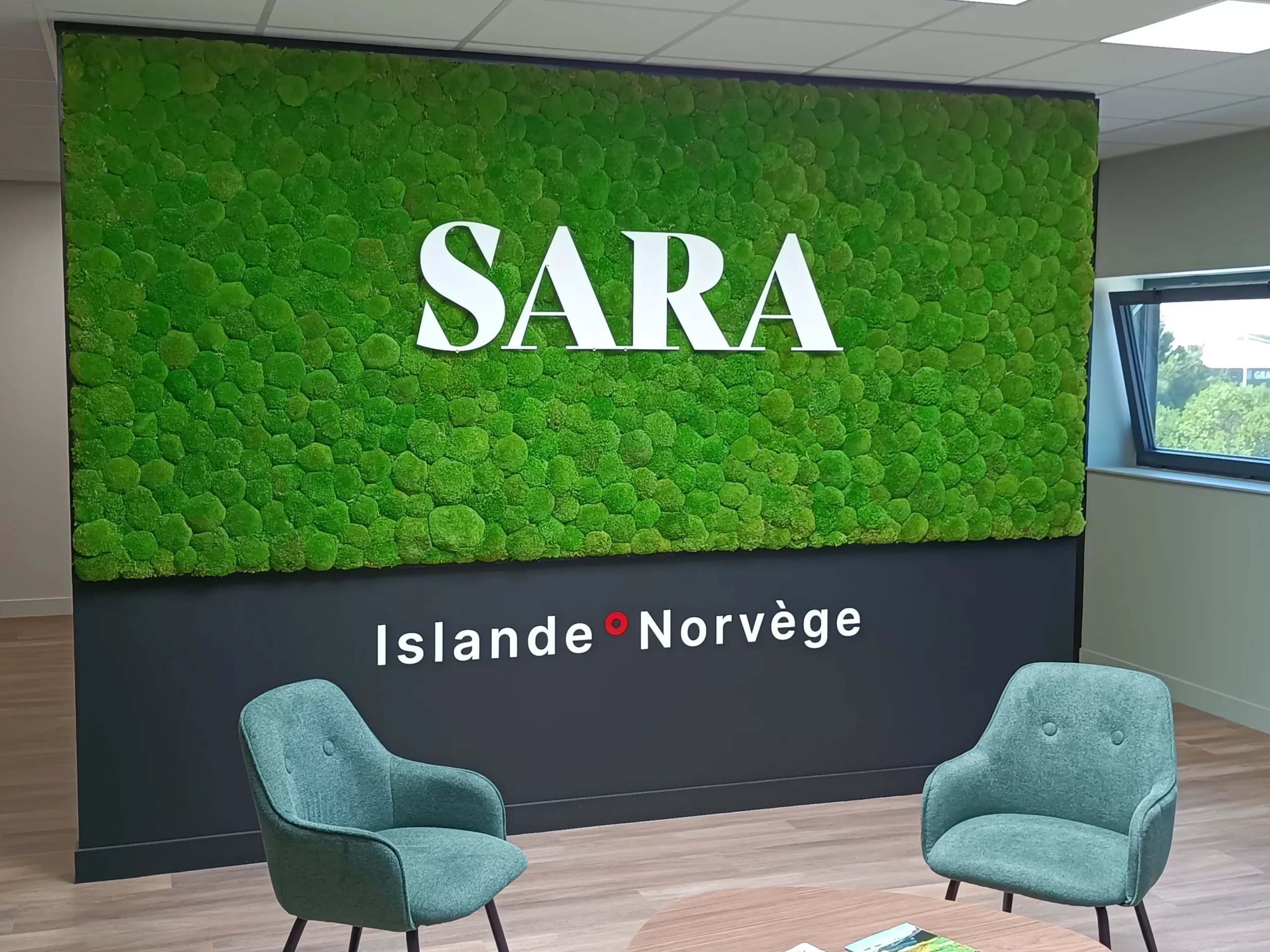 Mur végétal mousse boule avec logo dans des bureaux d’entreprise