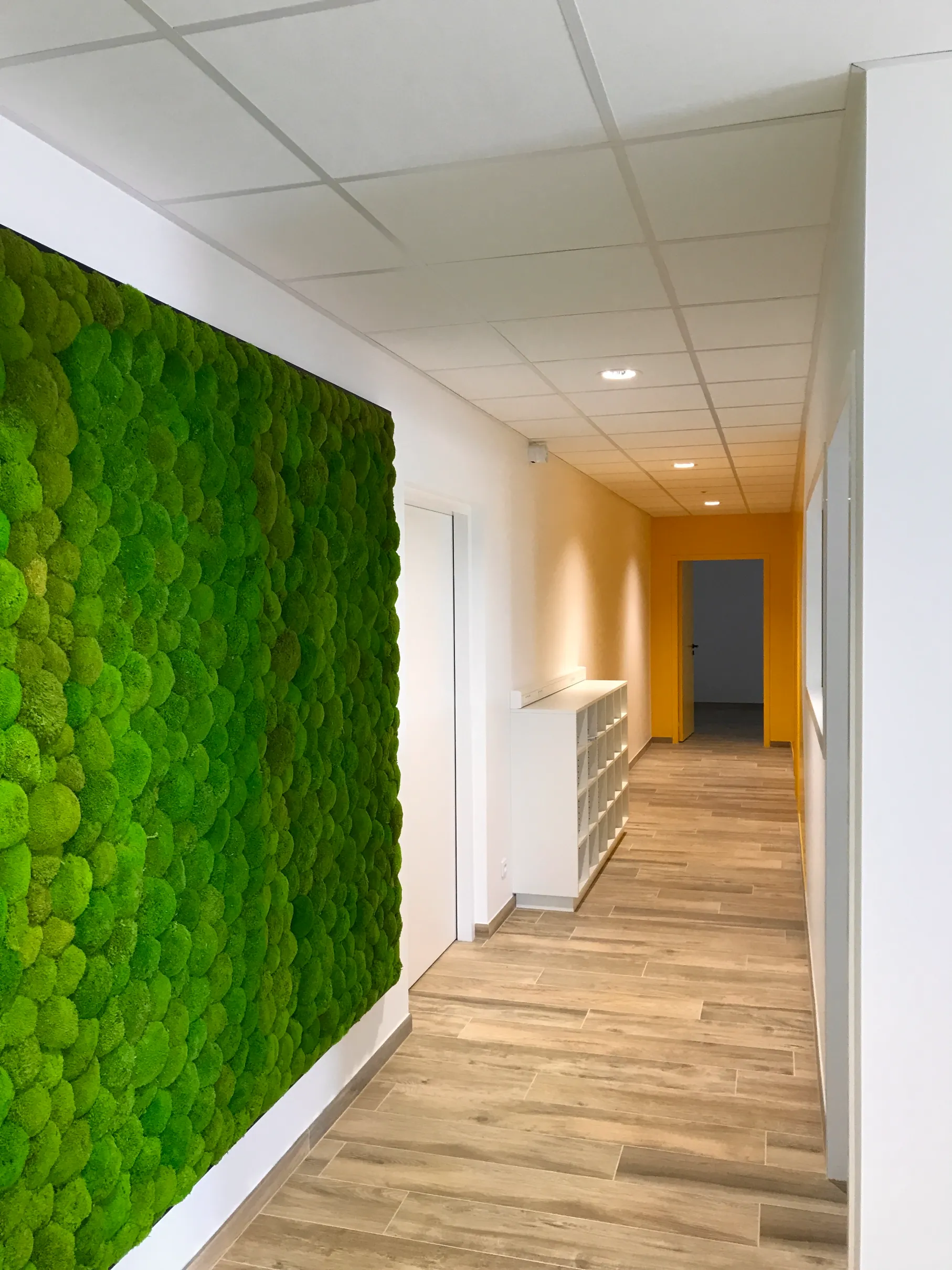 Couloir de bureaux habillé d’un mur en mousse boule stabilisée