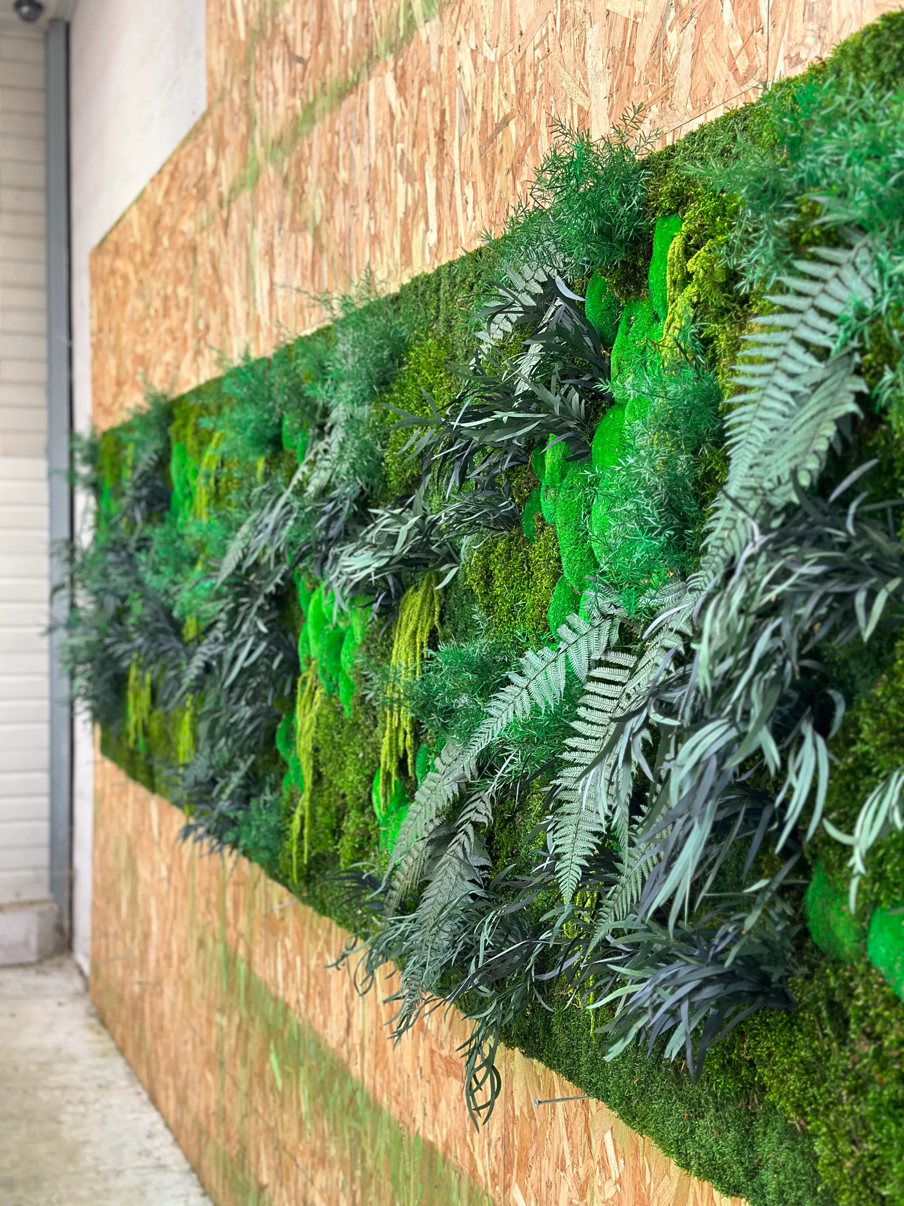 Tableau végétal stabilisé encadré dans un intérieur