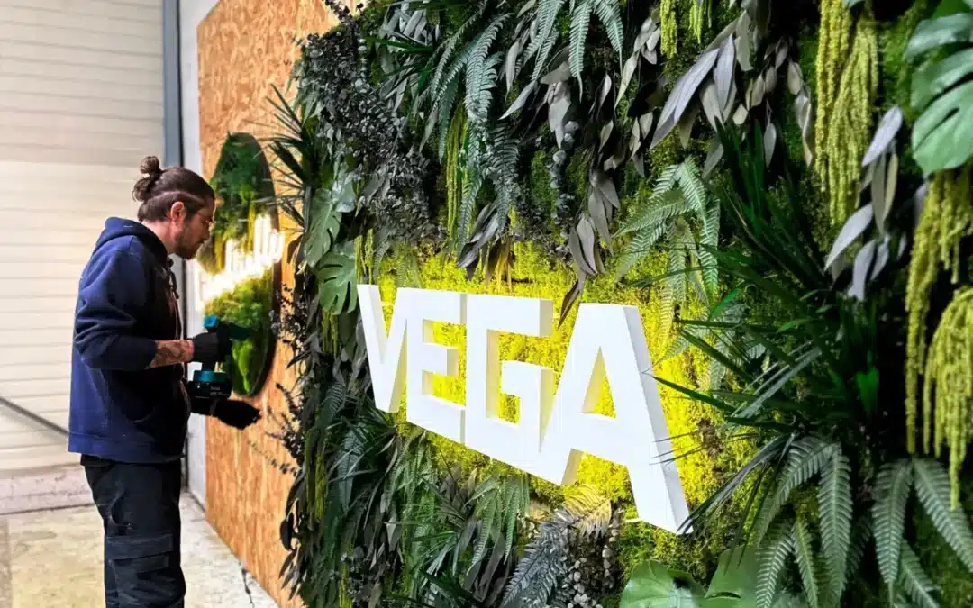 Mur végétal extérieur : pourquoi nous n&rsquo;en réalisons pas et ce qu&rsquo;il faut savoir