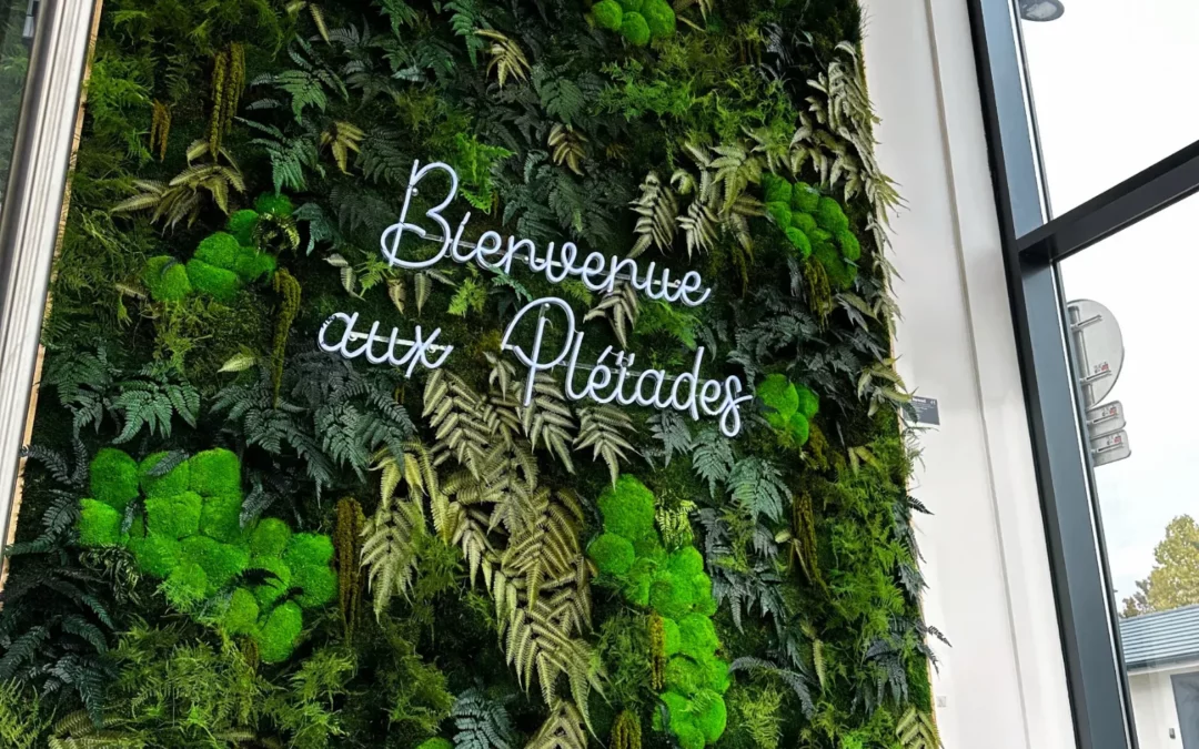 Murs végétaux à Nantes et Pays de la Loire : inspiration
